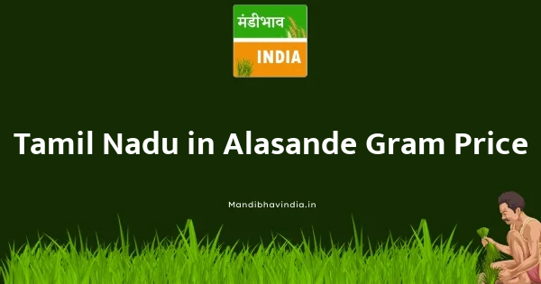 Alasande Gram भाव